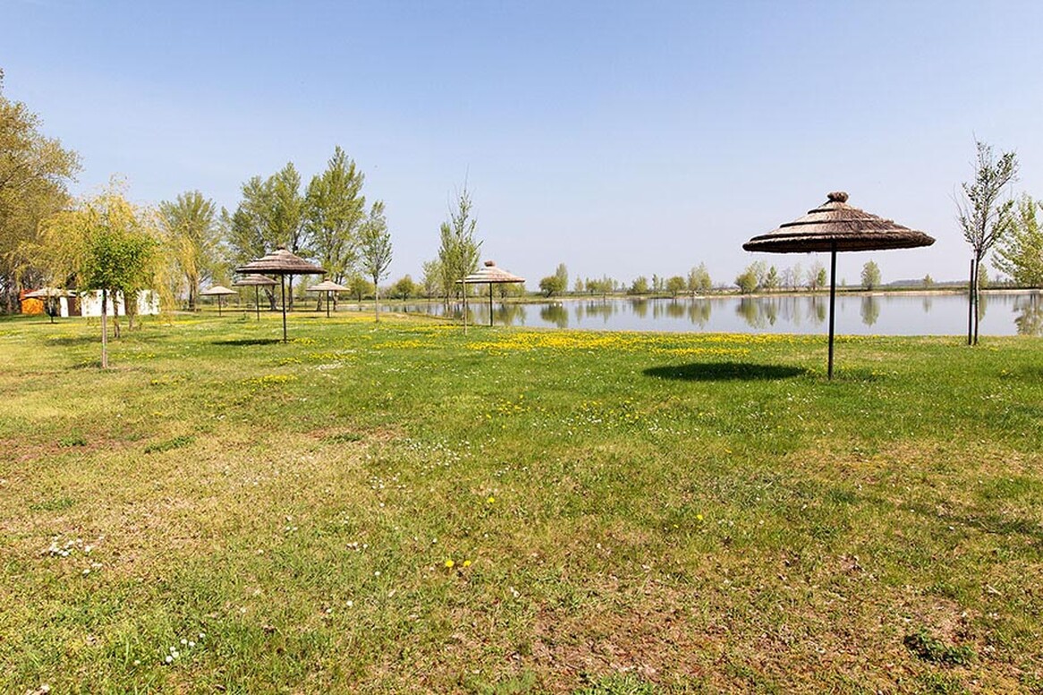 Gasthof Weinzettl Apetlon Gasthof Weinzettl Apetlon