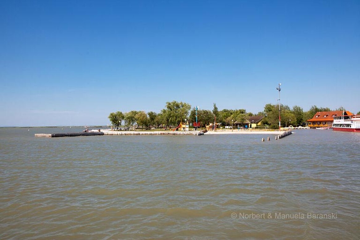 Gasthof Weinzettl Apetlon