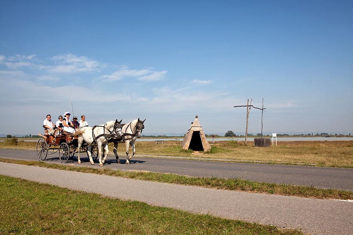 Gasthof Weinzettl Apetlon