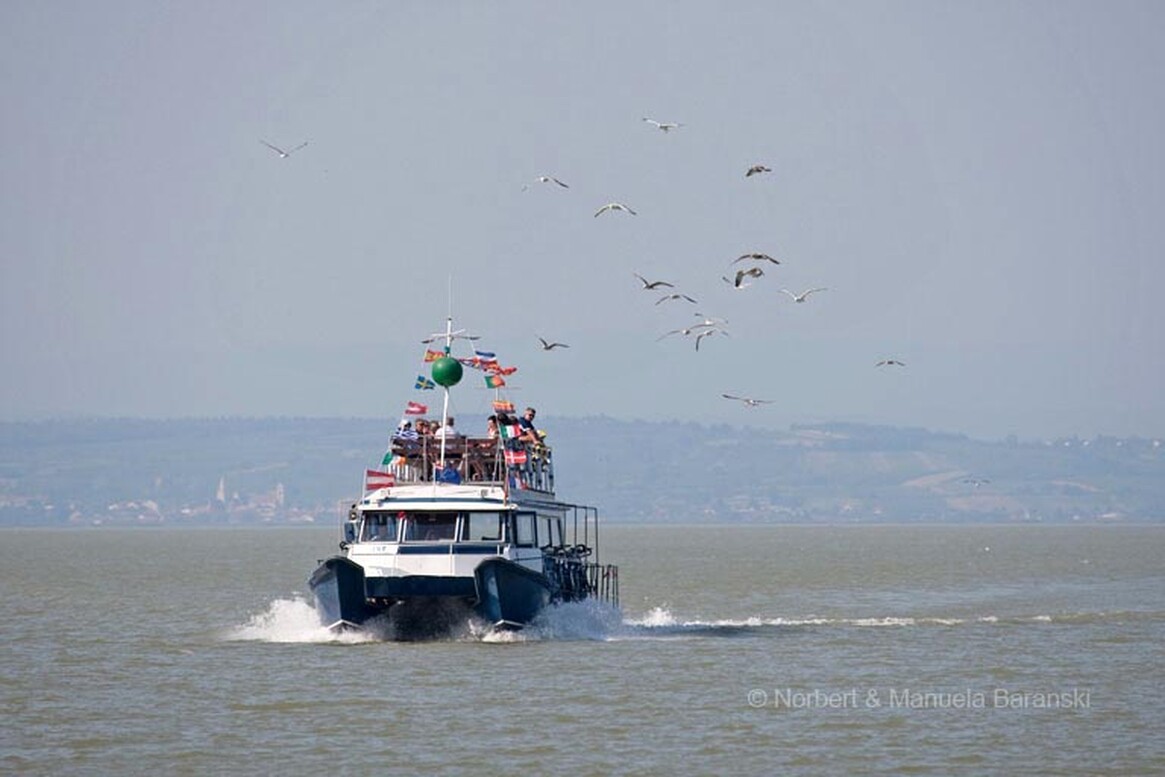 Gasthof Weinzettl Apetlon