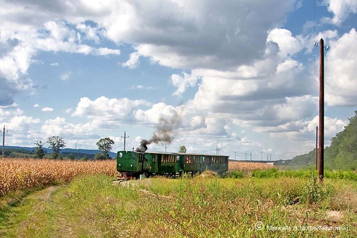 Gasthof Weinzettl Apetlon