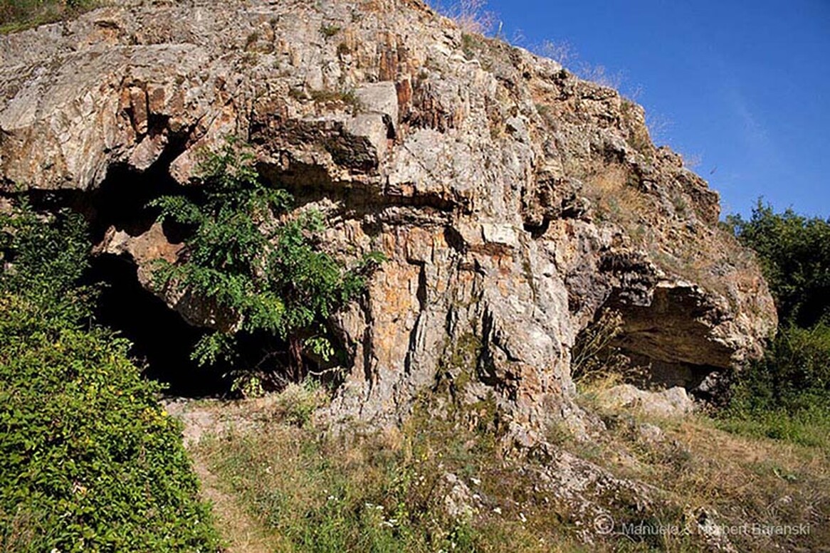 Gasthof Weinzettl Apetlon Gasthof Weinzettl Apetlon