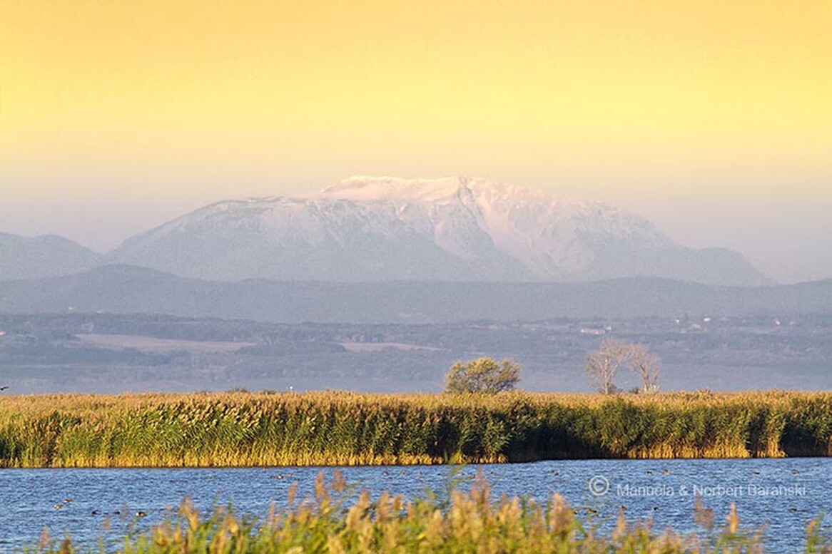 Gasthof Weinzettl Apetlon Gasthof Weinzettl Apetlon