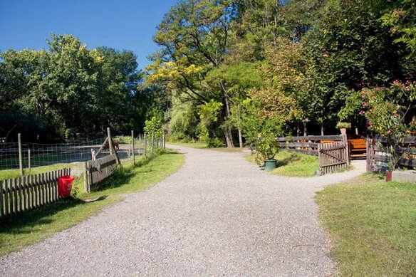 Gasthof Weinzettl Apetlon