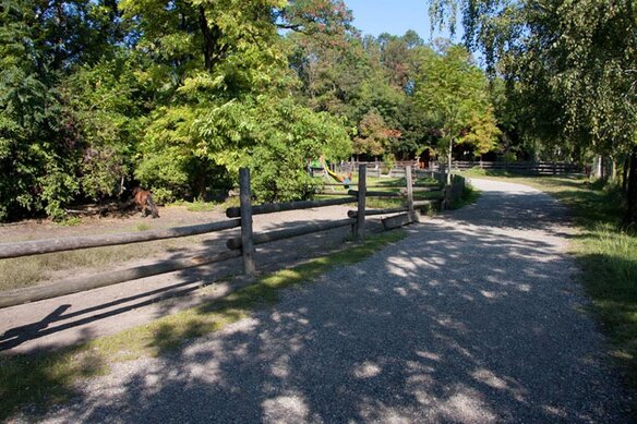 Gasthof Weinzettl Apetlon