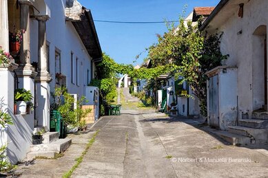 Gasthof Weinzettl Apetlon