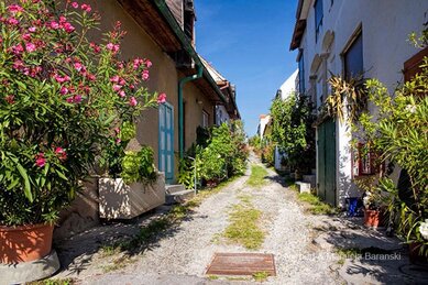 Gasthof Weinzettl Apetlon