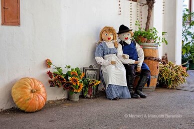 Gasthof Weinzettl Apetlon