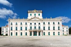 Gasthof Weinzettl Apetlon
