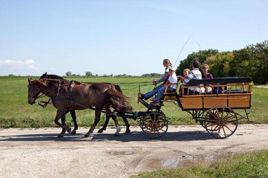 Gasthof Weinzettl Apetlon