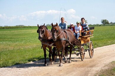 Gasthof Weinzettl Apetlon