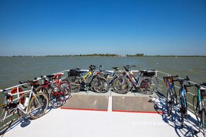 Gasthof Weinzettl Apetlon