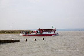 Gasthof Weinzettl Apetlon