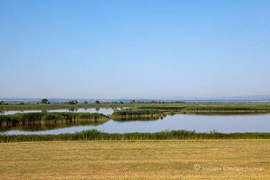 Gasthof Weinzettl Apetlon