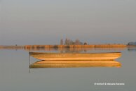 Neusiedler See