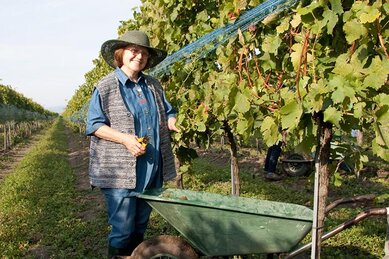 Gasthof Weinzettl Apetlon