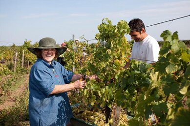 Gasthof Weinzettl Apetlon