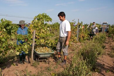 Gasthof Weinzettl Apetlon