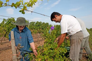 Gasthof Weinzettl Apetlon